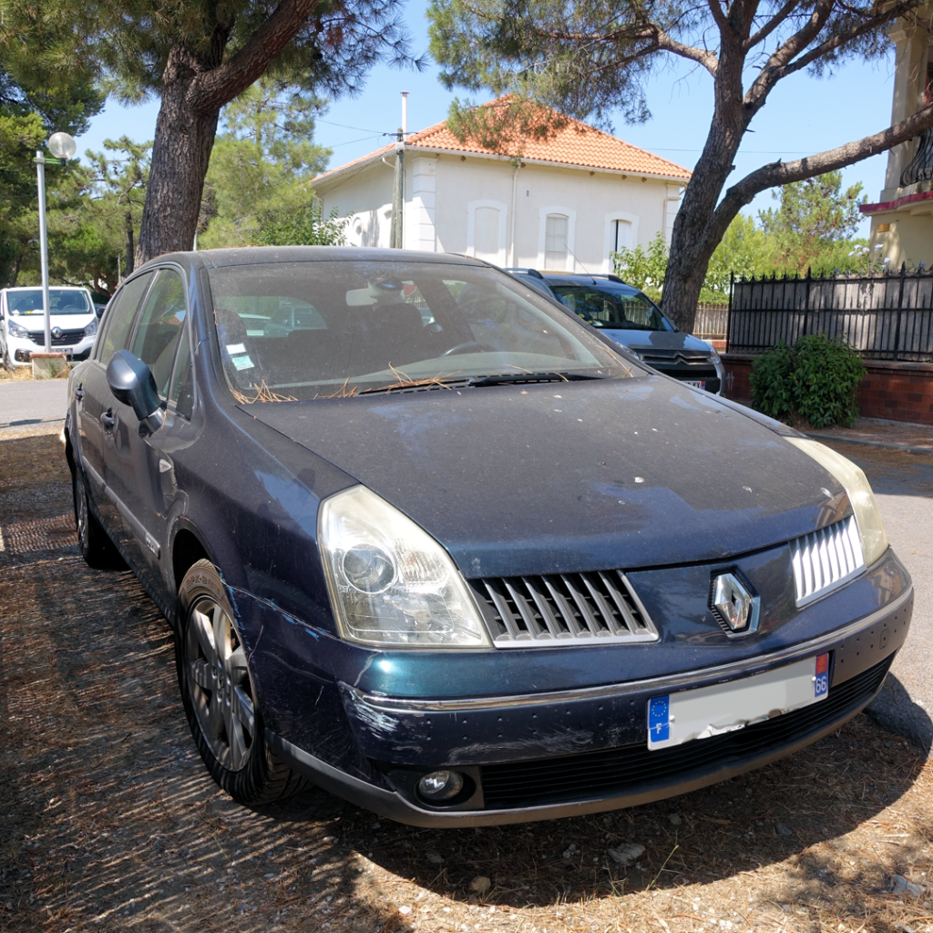 Renault Vel Satis - Terjes biler